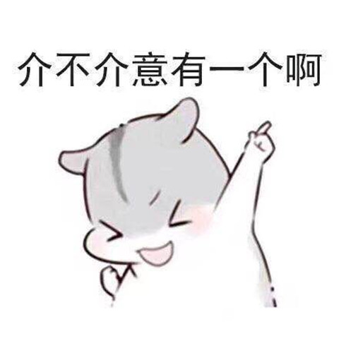 套路满满的表白表情包4